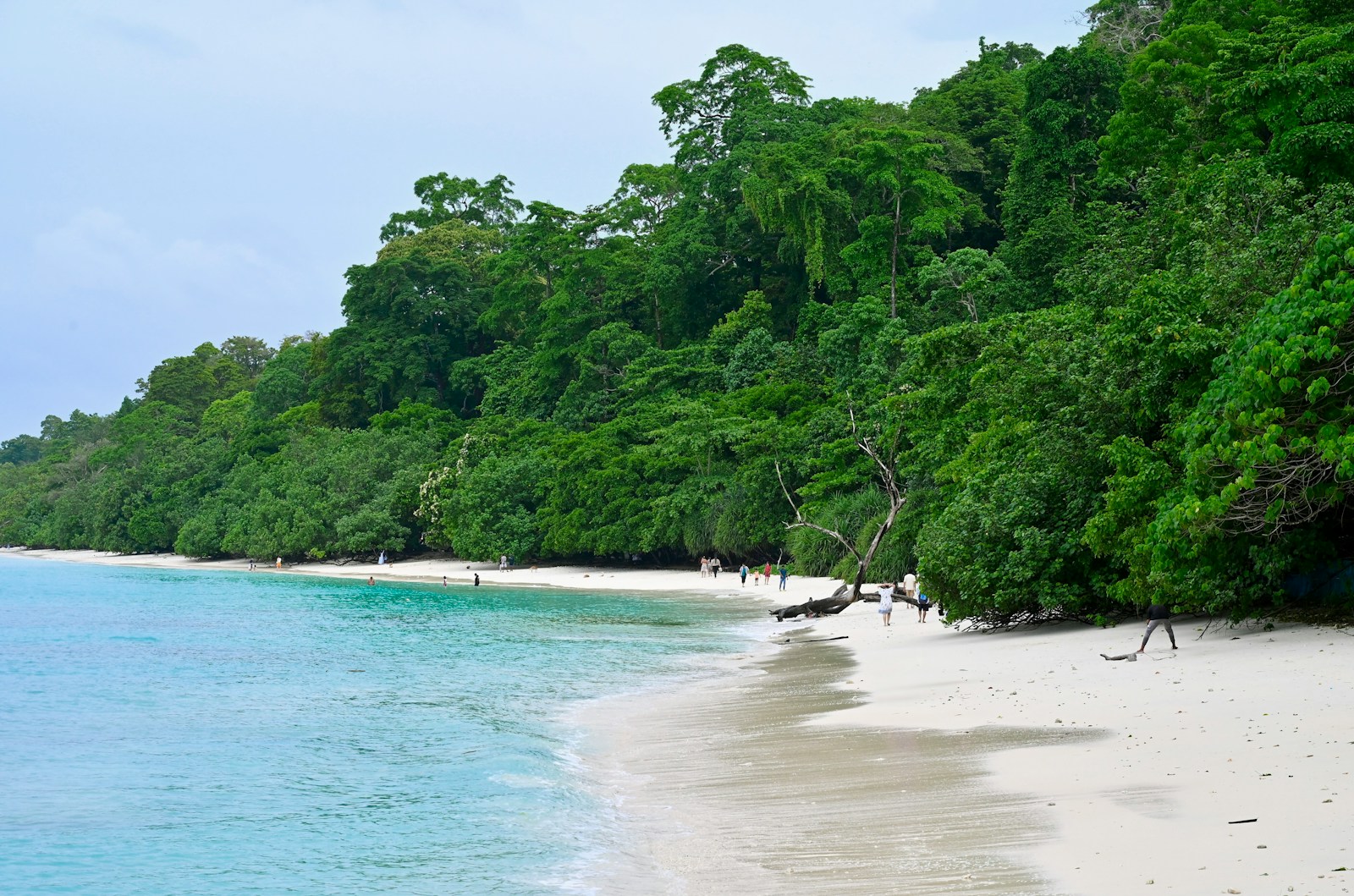 Island-Hopping the Andamans: Havelock to Neil