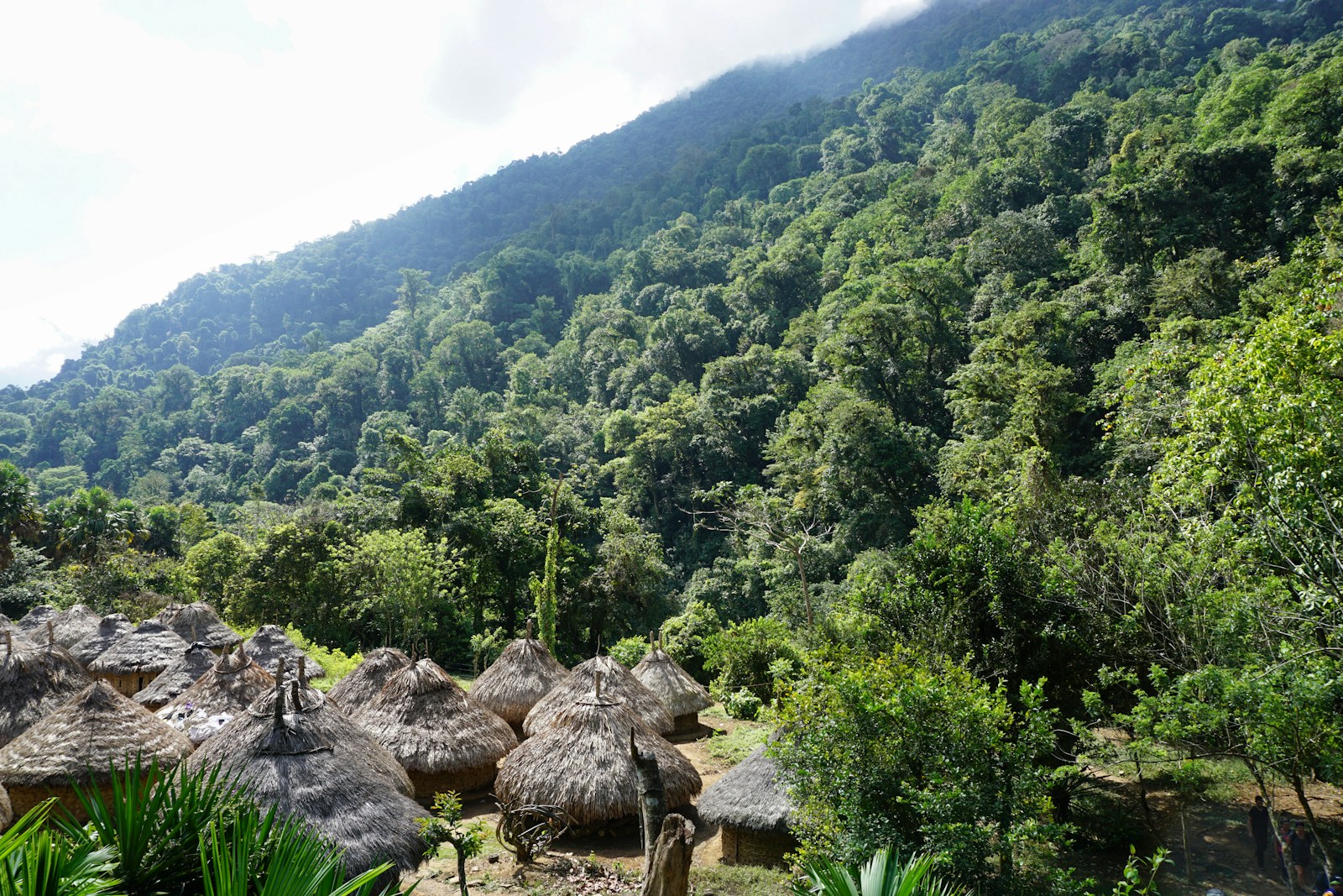 Ciudad Perdida: The Jungle Trek to Colombia's Lost City