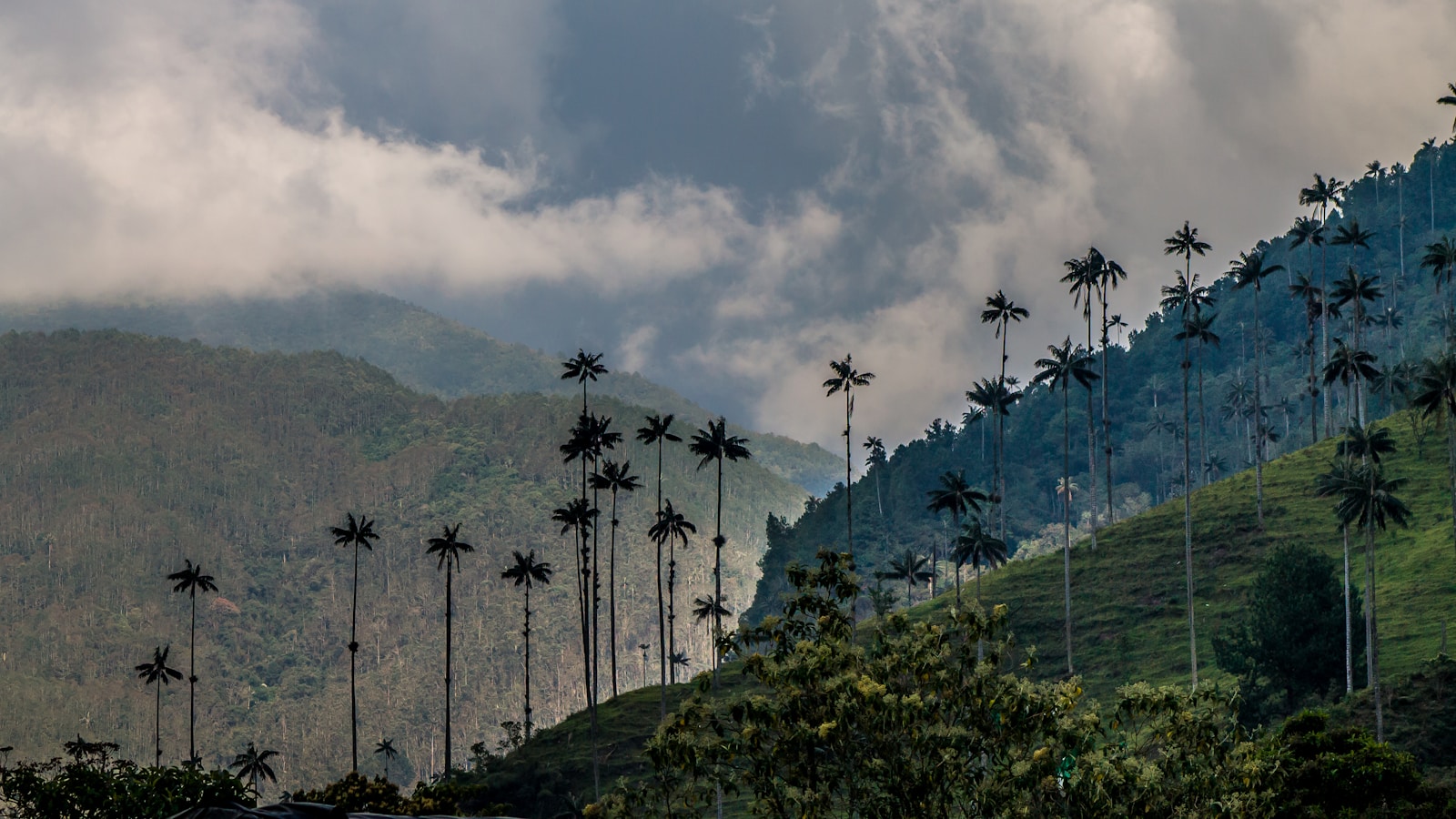 Colombia's Coffee Triangle to the Caribbean coast, two weeks end to end