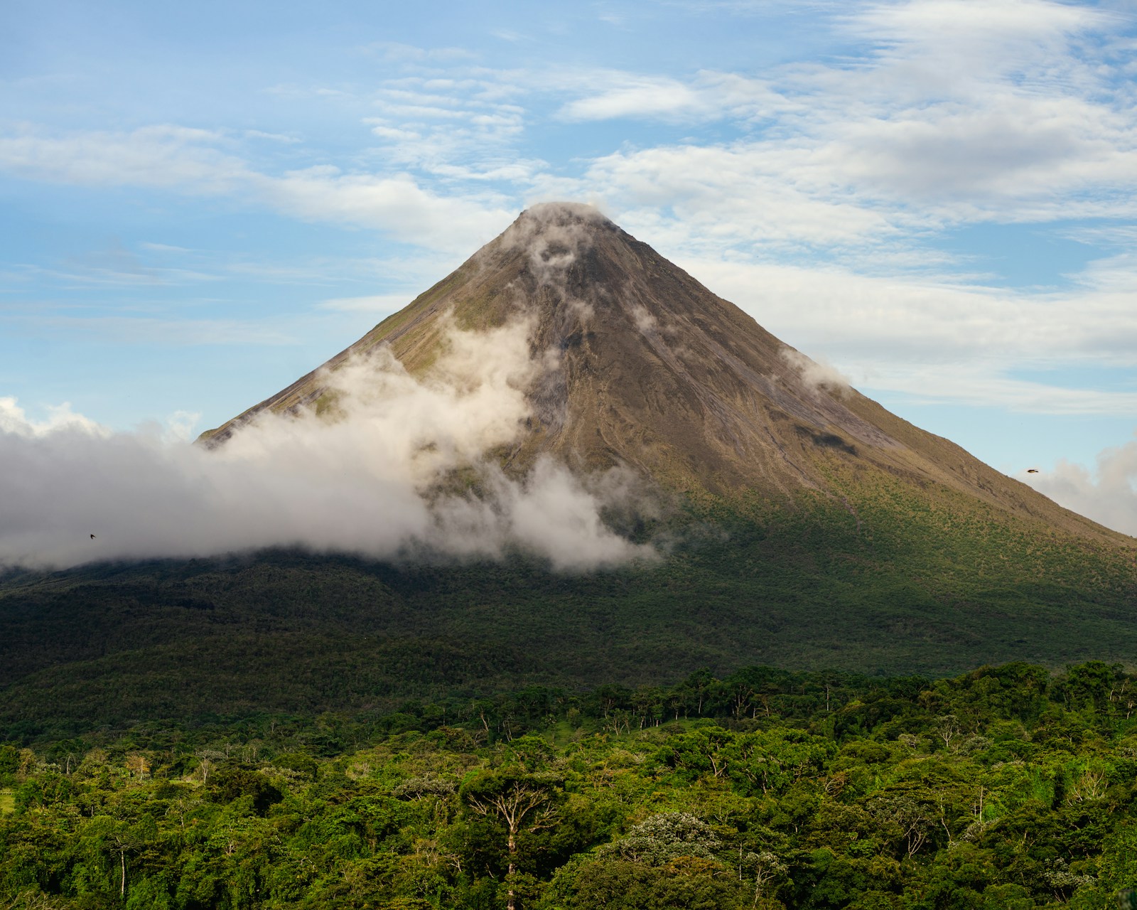 Costa Rica's two coasts: a two-week loop from cloud forest to surf town