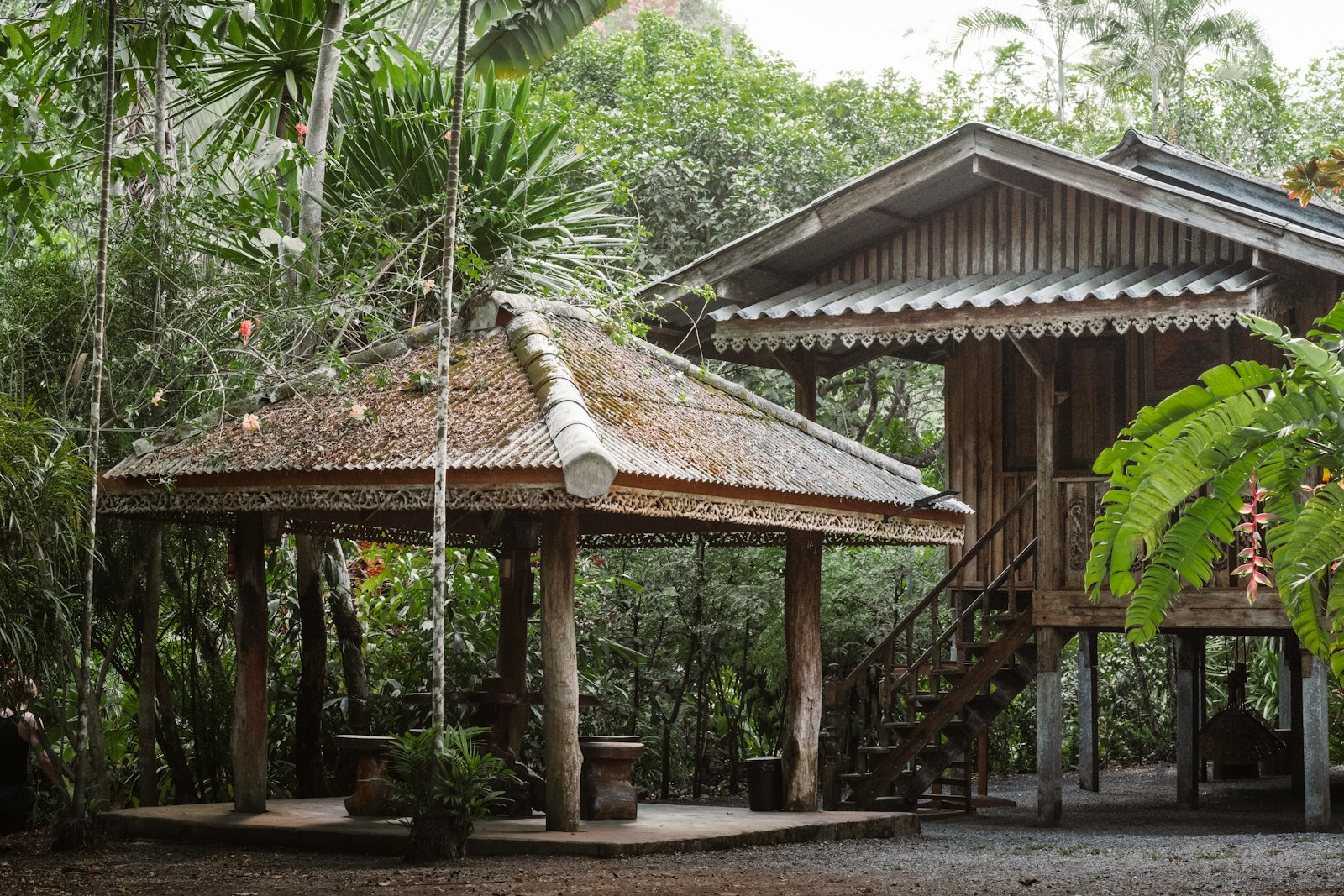 Sleeping in the canopy at a Danum Valley treehouse lodge