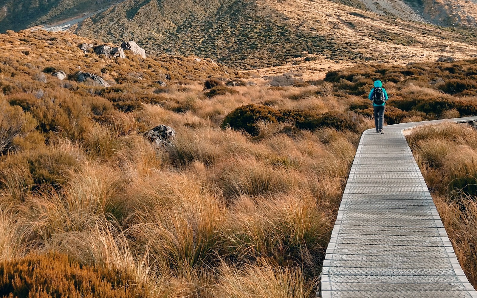 The Milford Track: Four Days Through Fiordland's Wild Heart