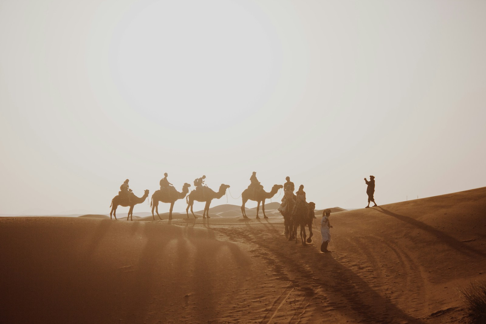 Trekking the Dunes of Morocco's Sahara by Camel and Foot