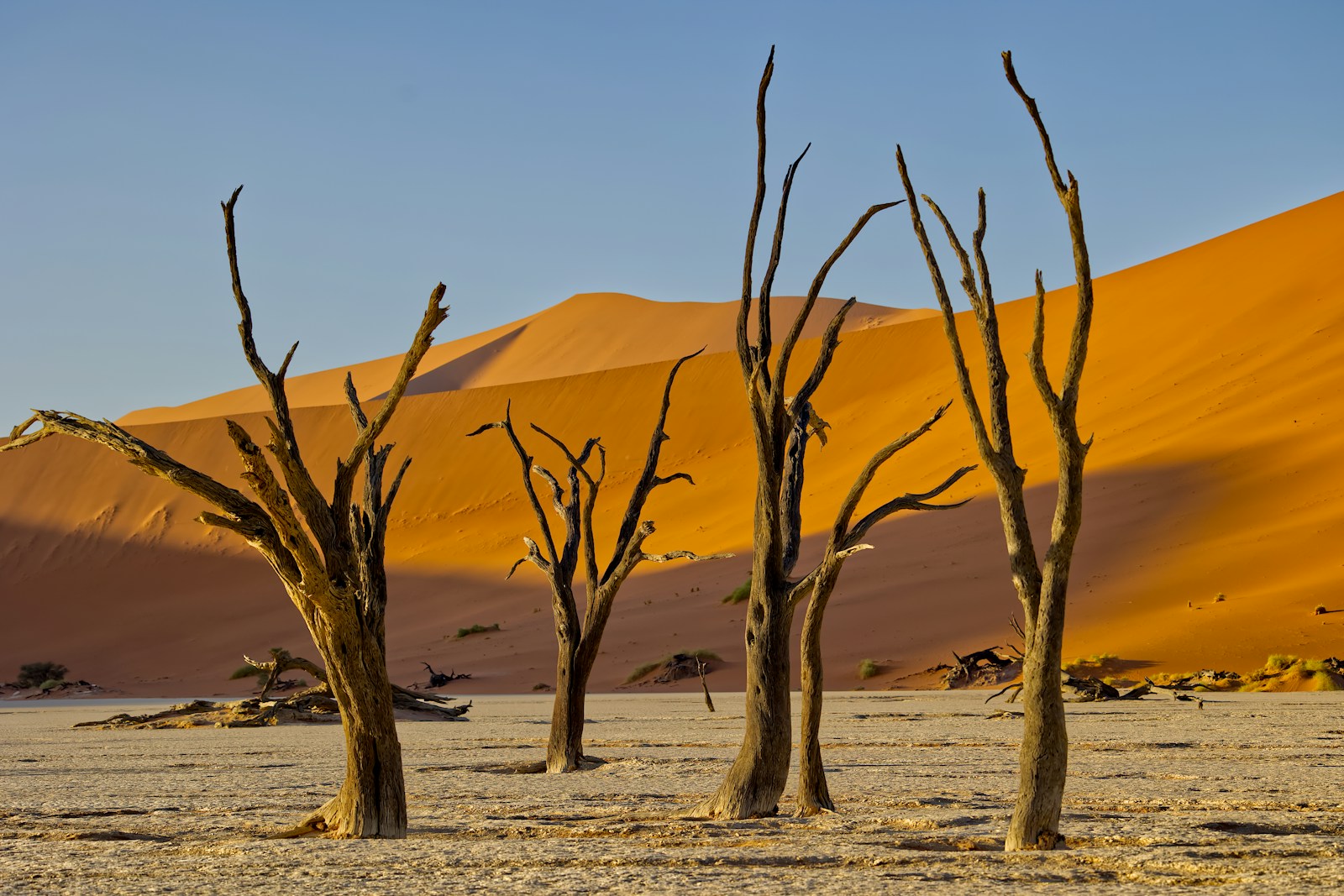 Namibia's desert loop: red dunes at Sossusvlei to wildlife at Etosha