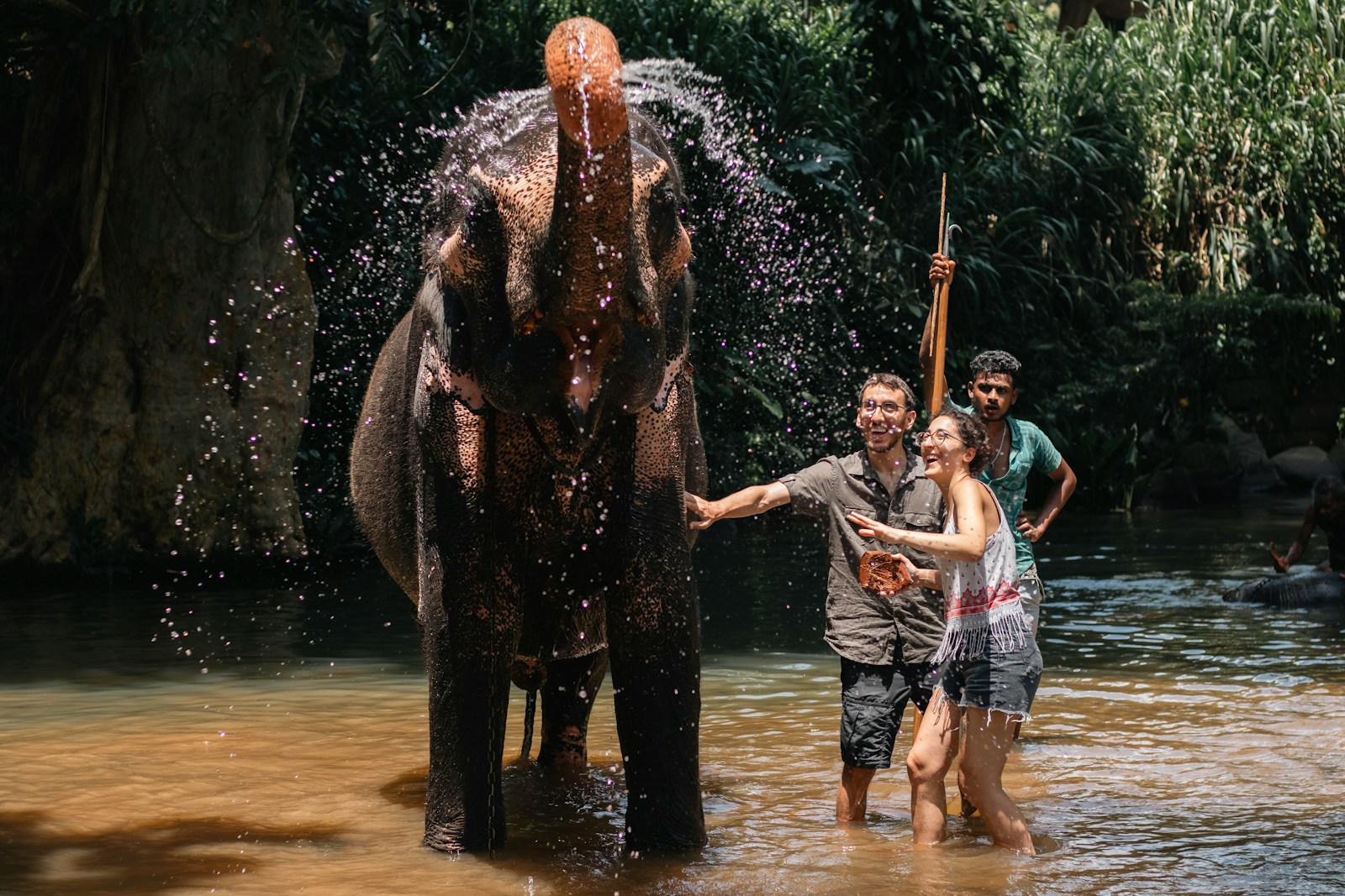 An Ethical Elephant Encounter in Northern Thailand