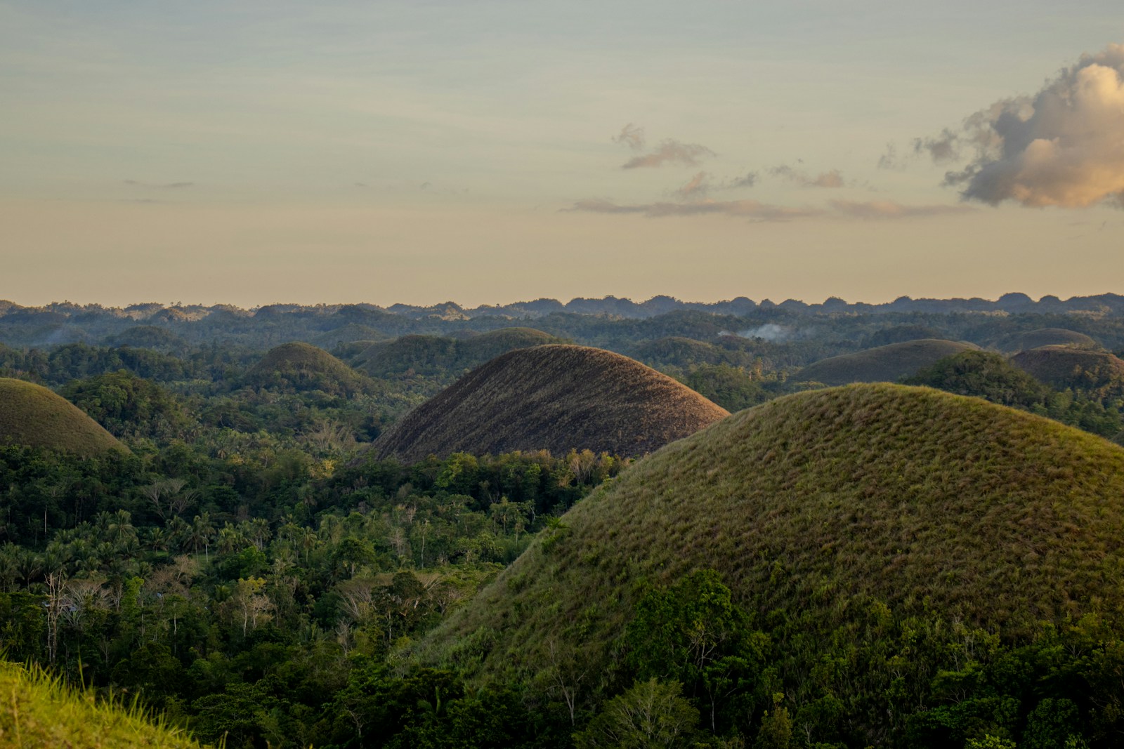 Beyond Palawan: island-hopping Siargao and Bohol in the Philippines