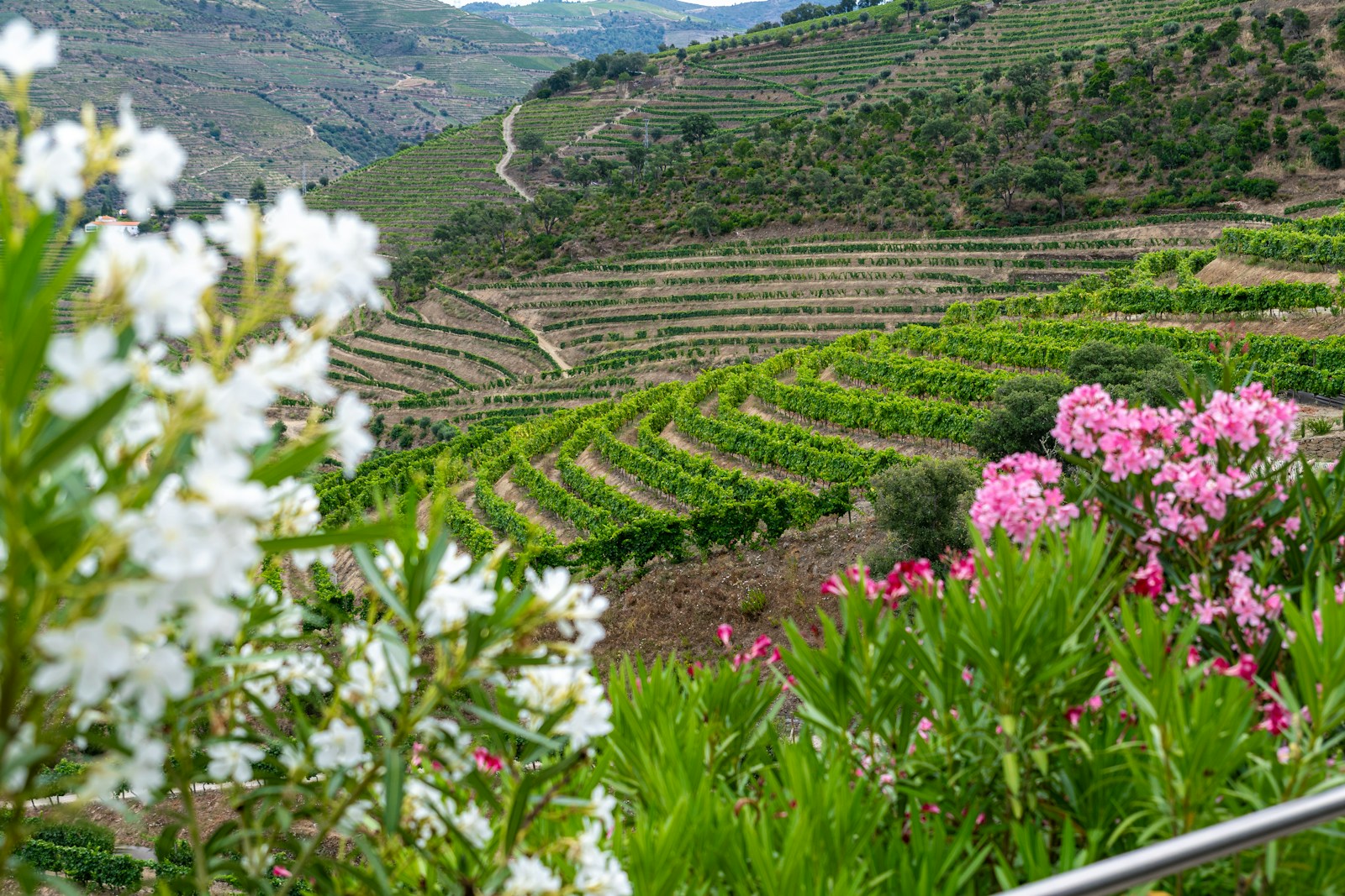 Portugal beyond the coast: the Alentejo plains and the Douro Valley