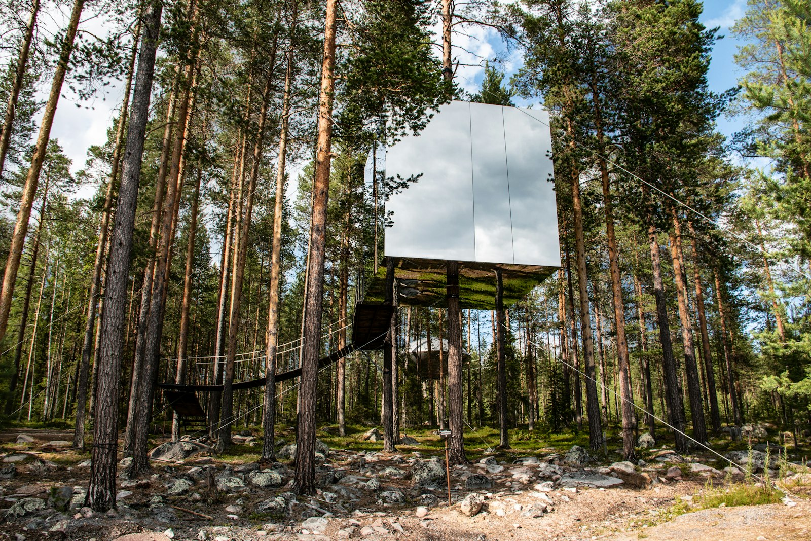 A night among the pines in a Swedish treehouse