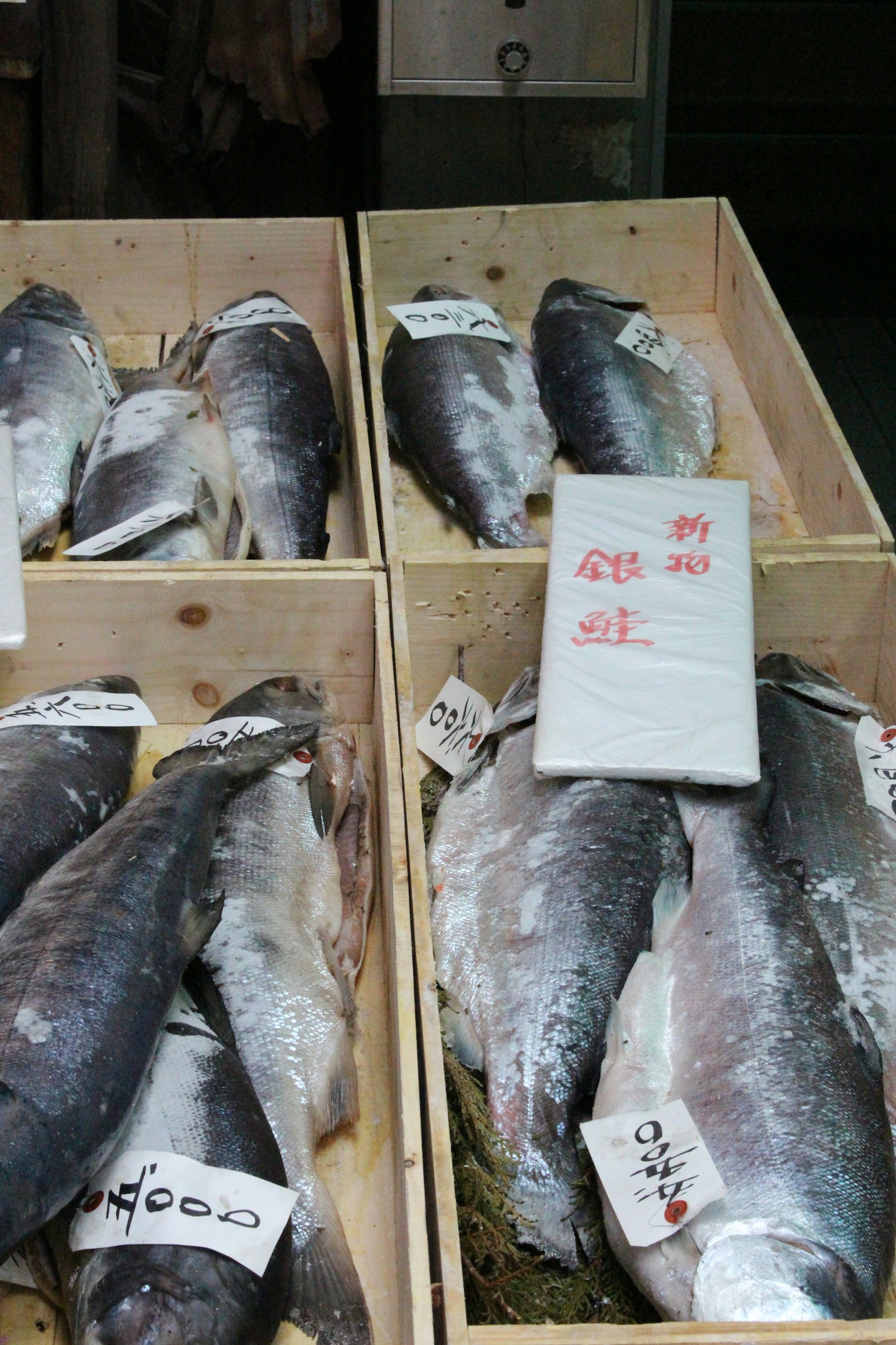 Before Dawn at Tsukiji, Then Izakaya Until Late