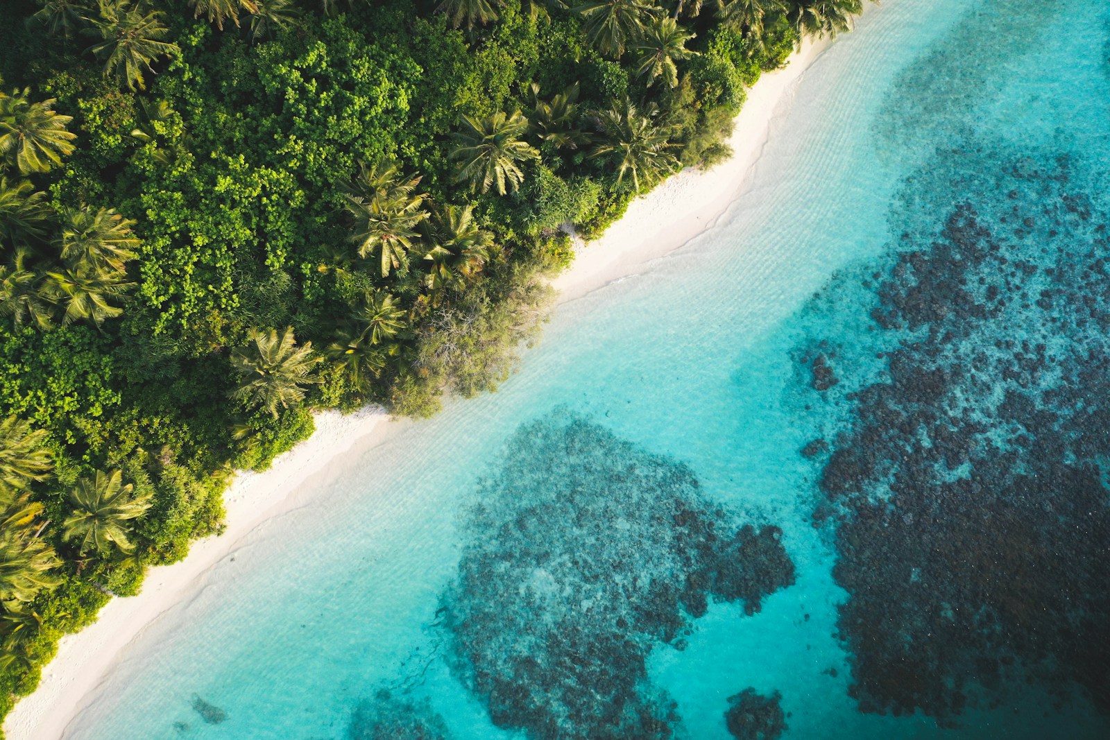 Diving the Maldives: beyond the resort