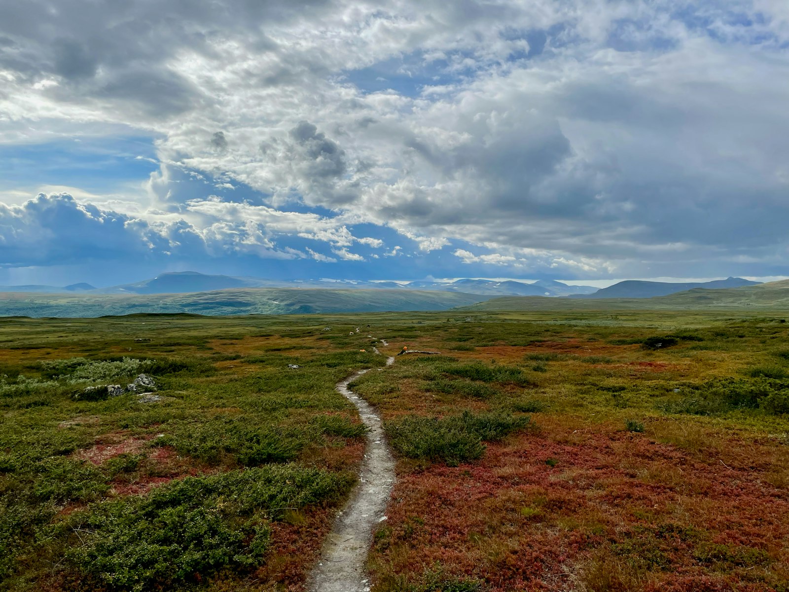 Walking the Kungsleden under midnight sun