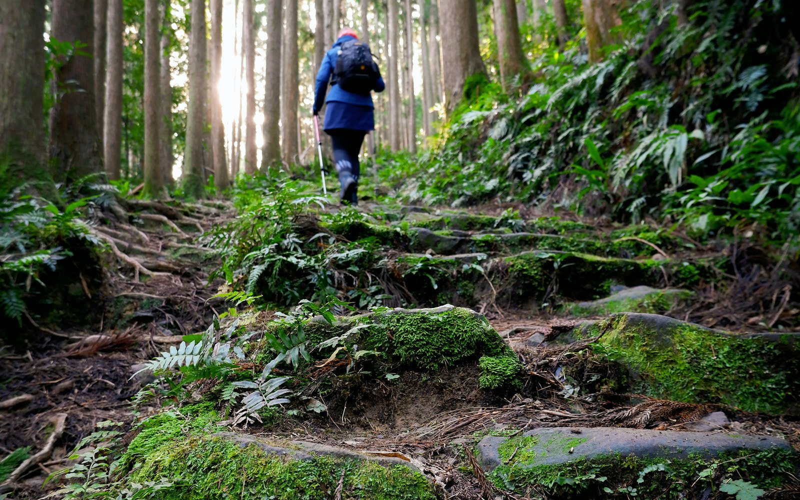 Japan's Kumano Kodo pilgrim trails