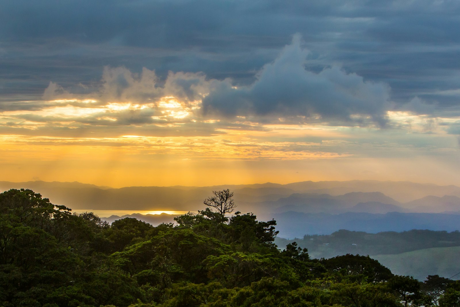 Birding the cloud forest of Monteverde
