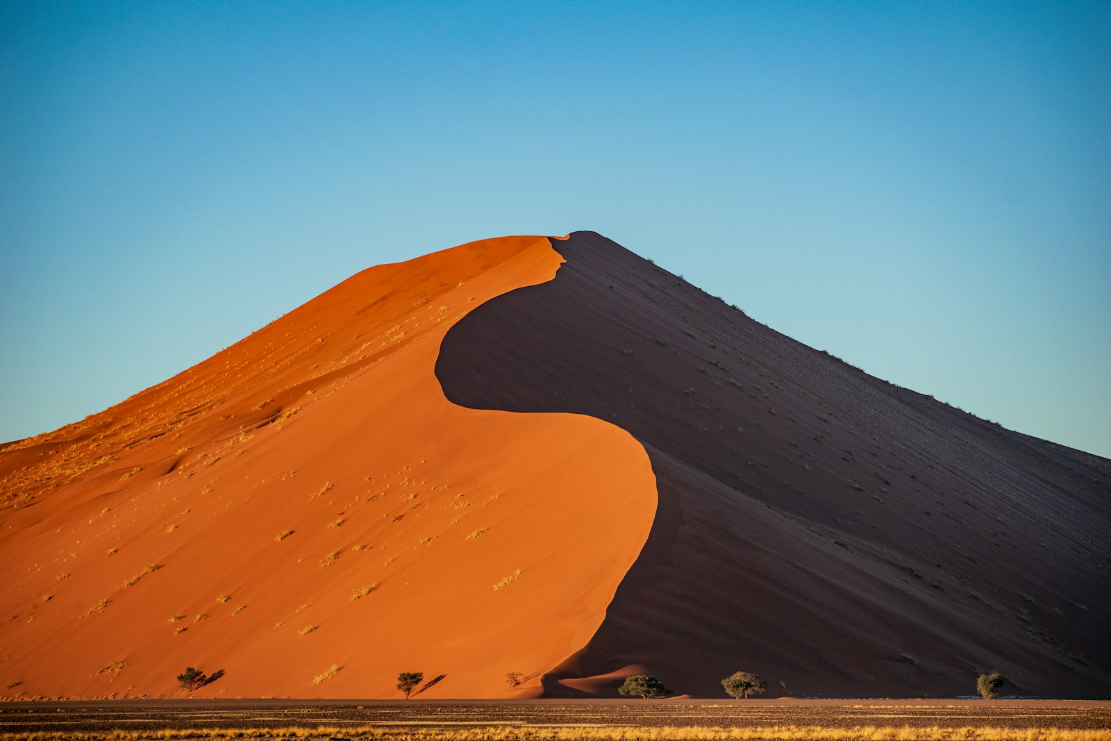 Sossusvlei Dunes and Deadvlei